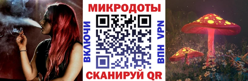 купить наркотики цена  Камень-на-Оби  Псилоцибиновые грибы ЛСД 