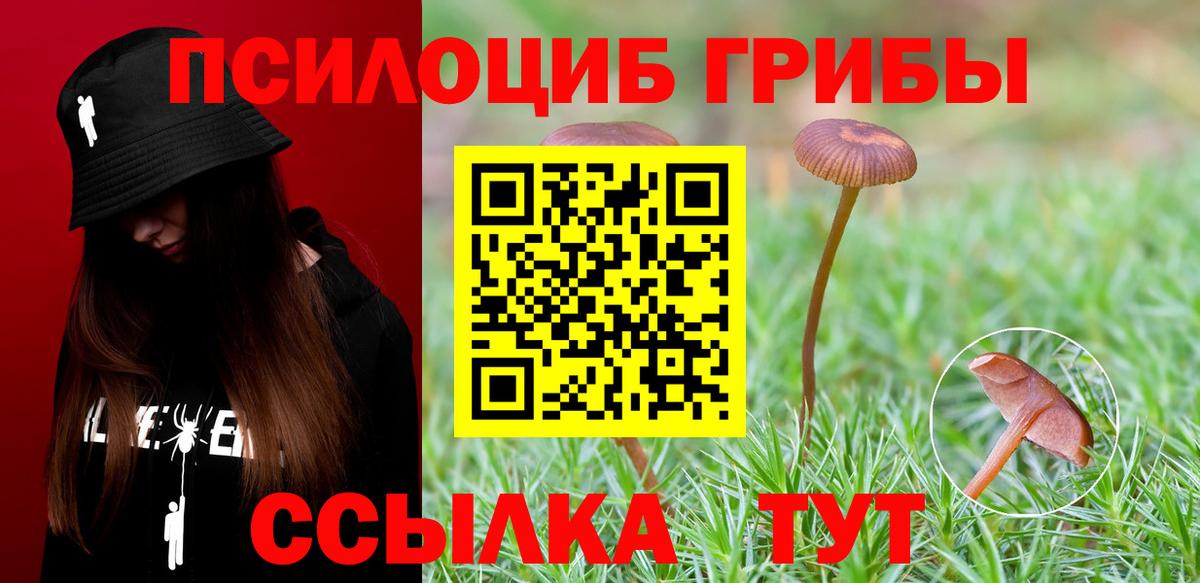 наркошоп  Псилоцибиновые грибы мухоморы  Вход с VPN  Галлюциногенные грибы Psilocybine cubensis  Камень-на-Оби 